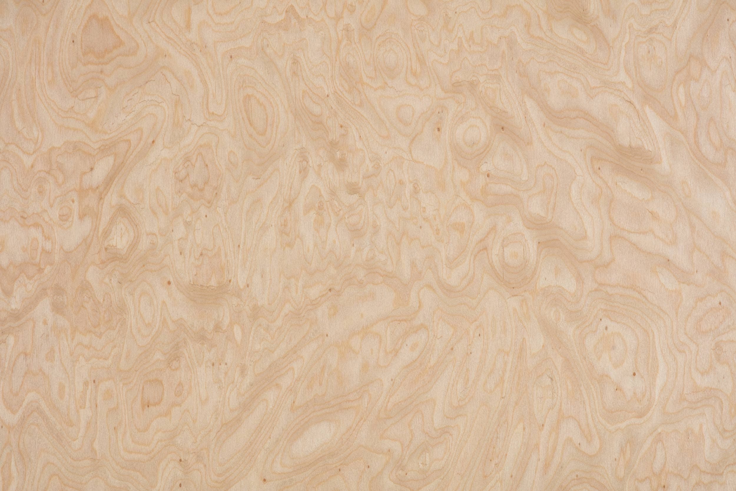 Myrtle burl