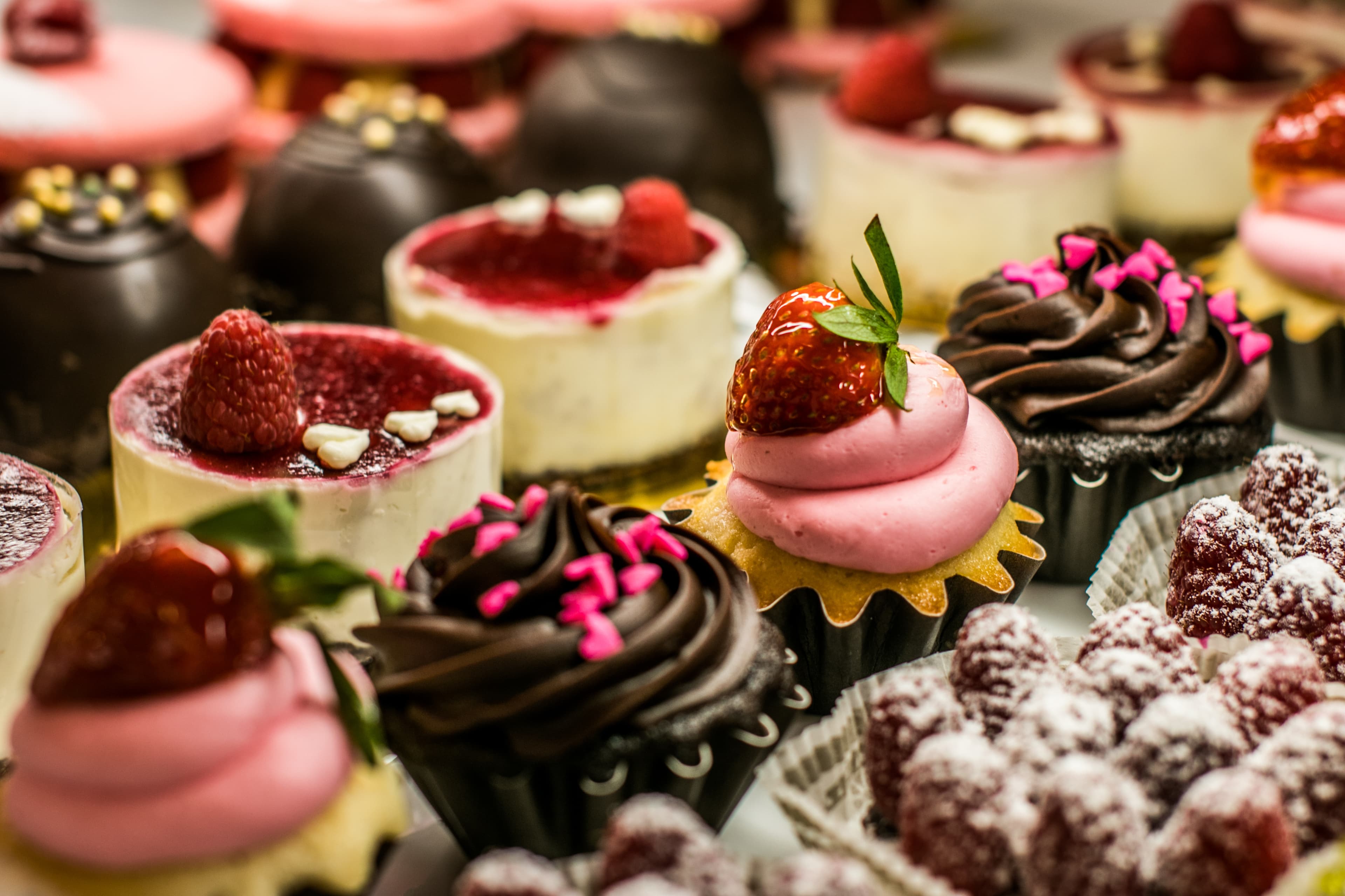 Cakes, fruit tarts, and custards waiting behind glass.