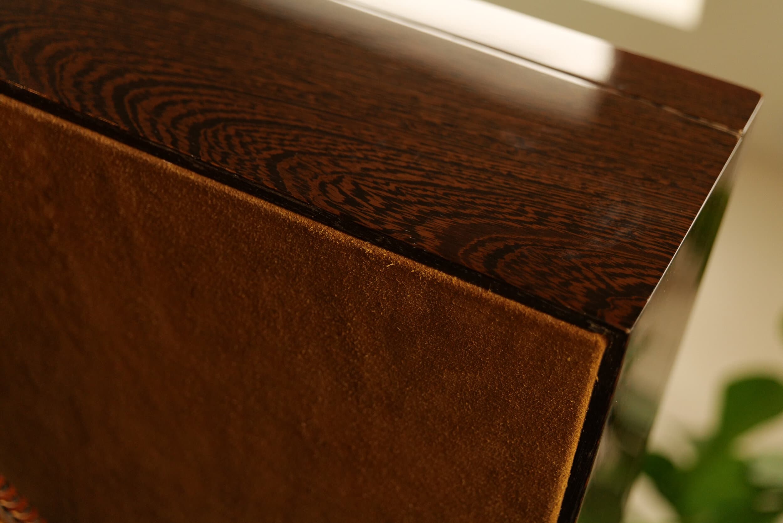 The Curator — Wenge Display Edition