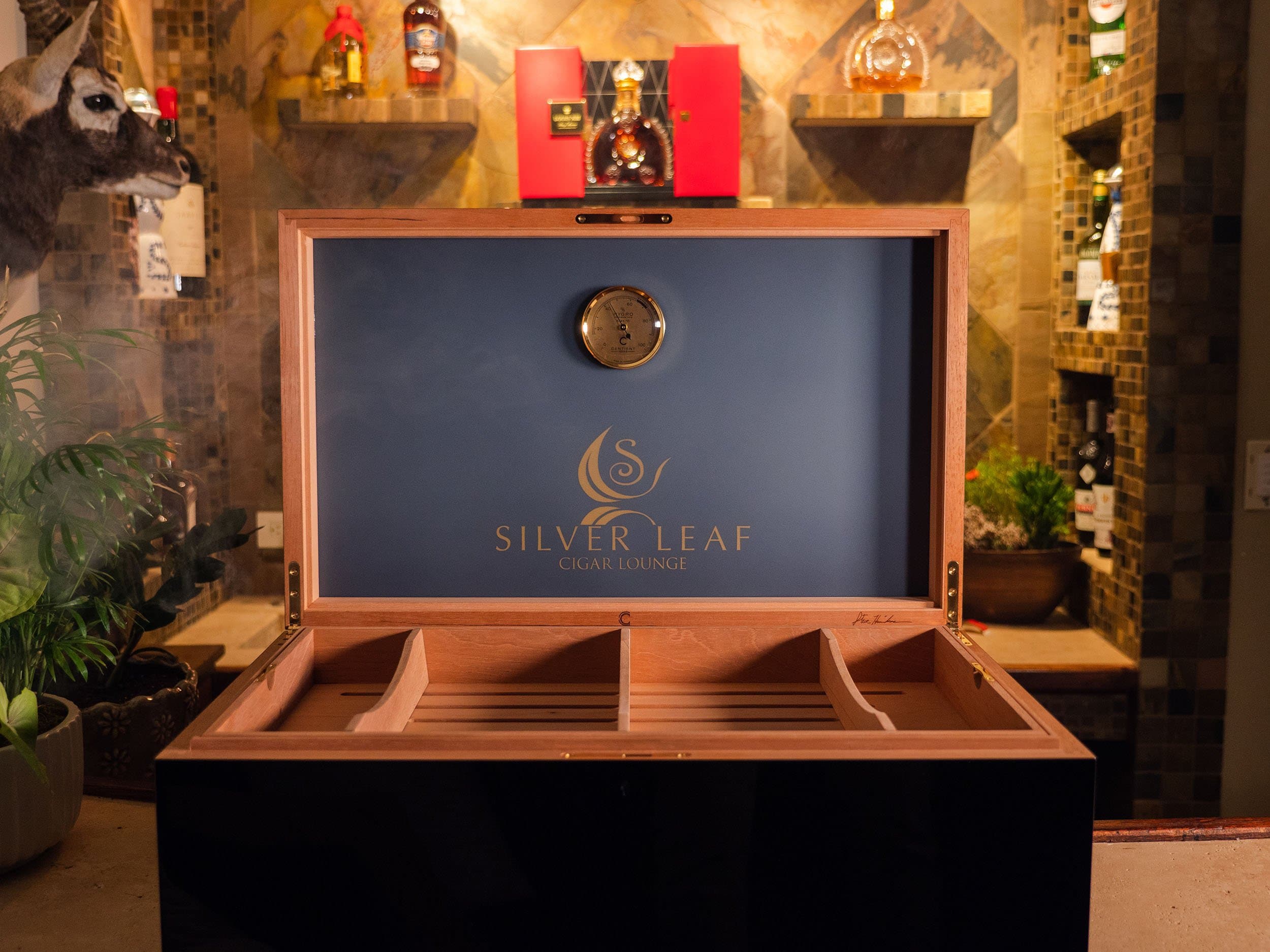The Umbra: nobel creative modern luxury humidor