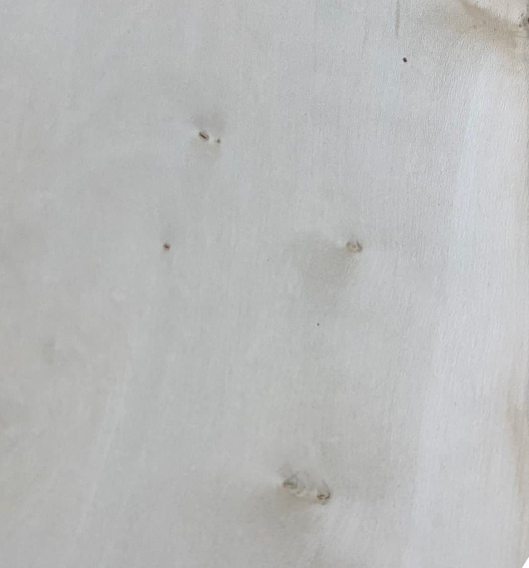 Holly grain