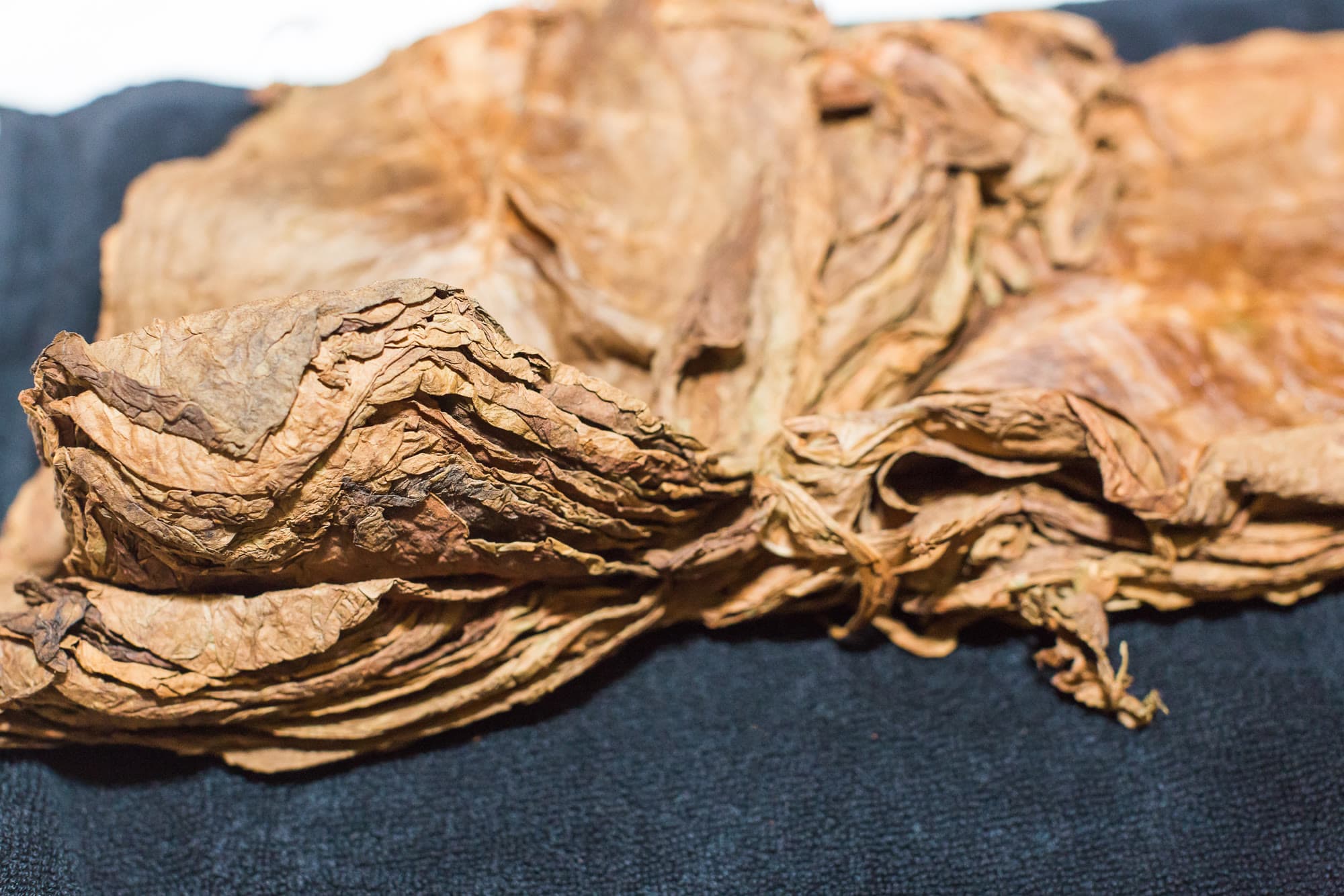 Stacked cured tobacco leaves showing vein, wrinkle, and dark color.