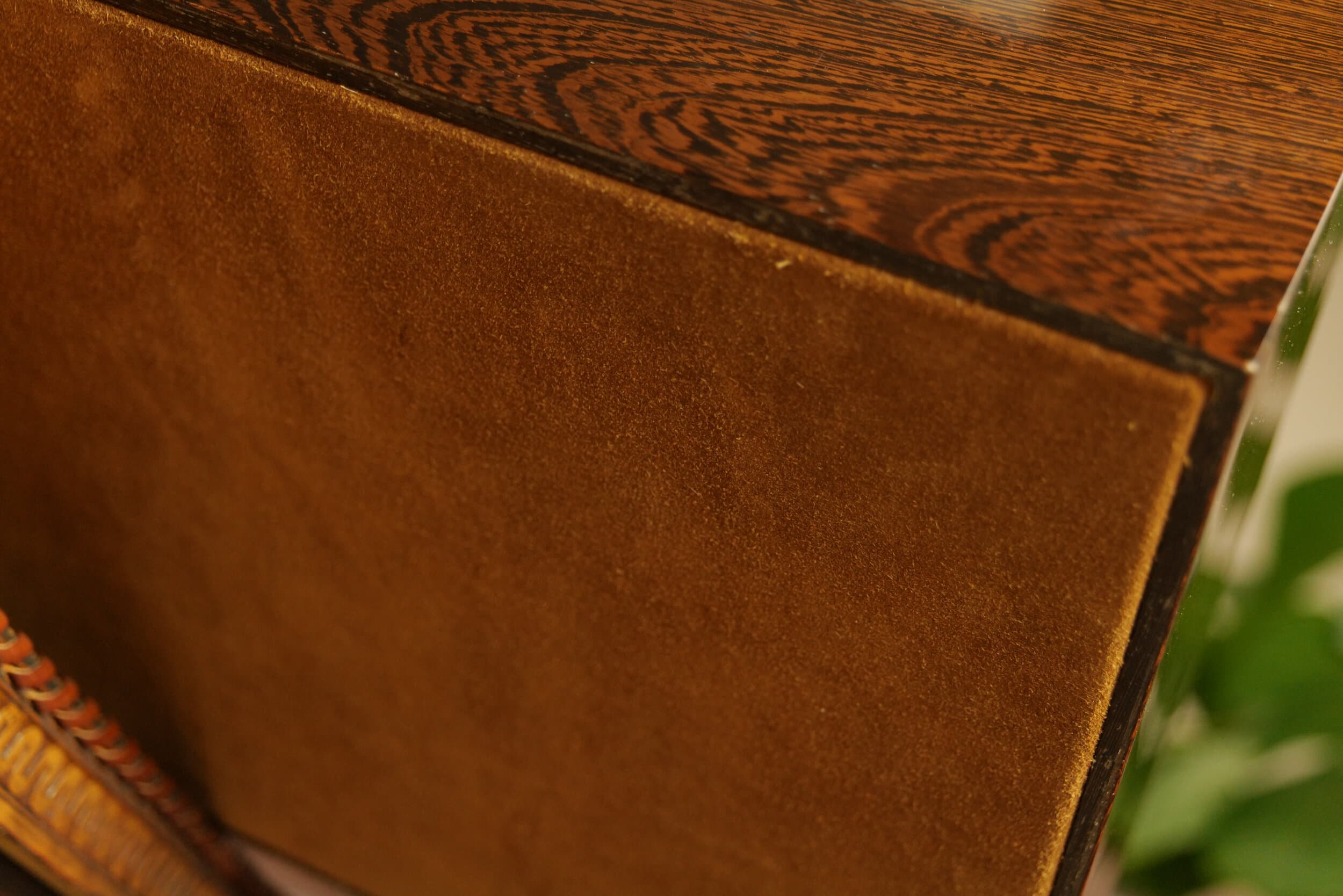 The Curator — Wenge Display Edition