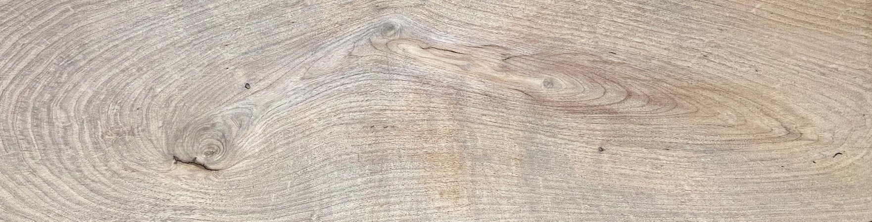 Mexican mesquite
