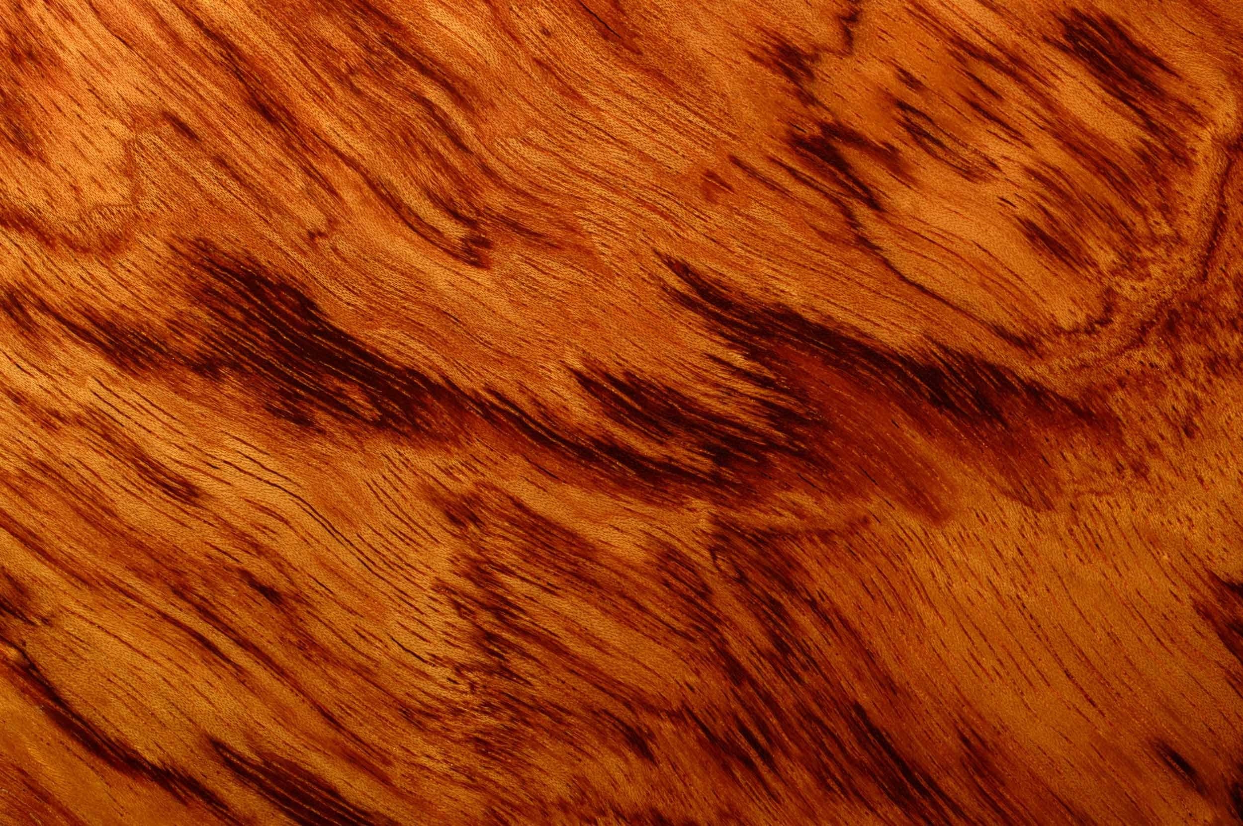 Flared Bubinga