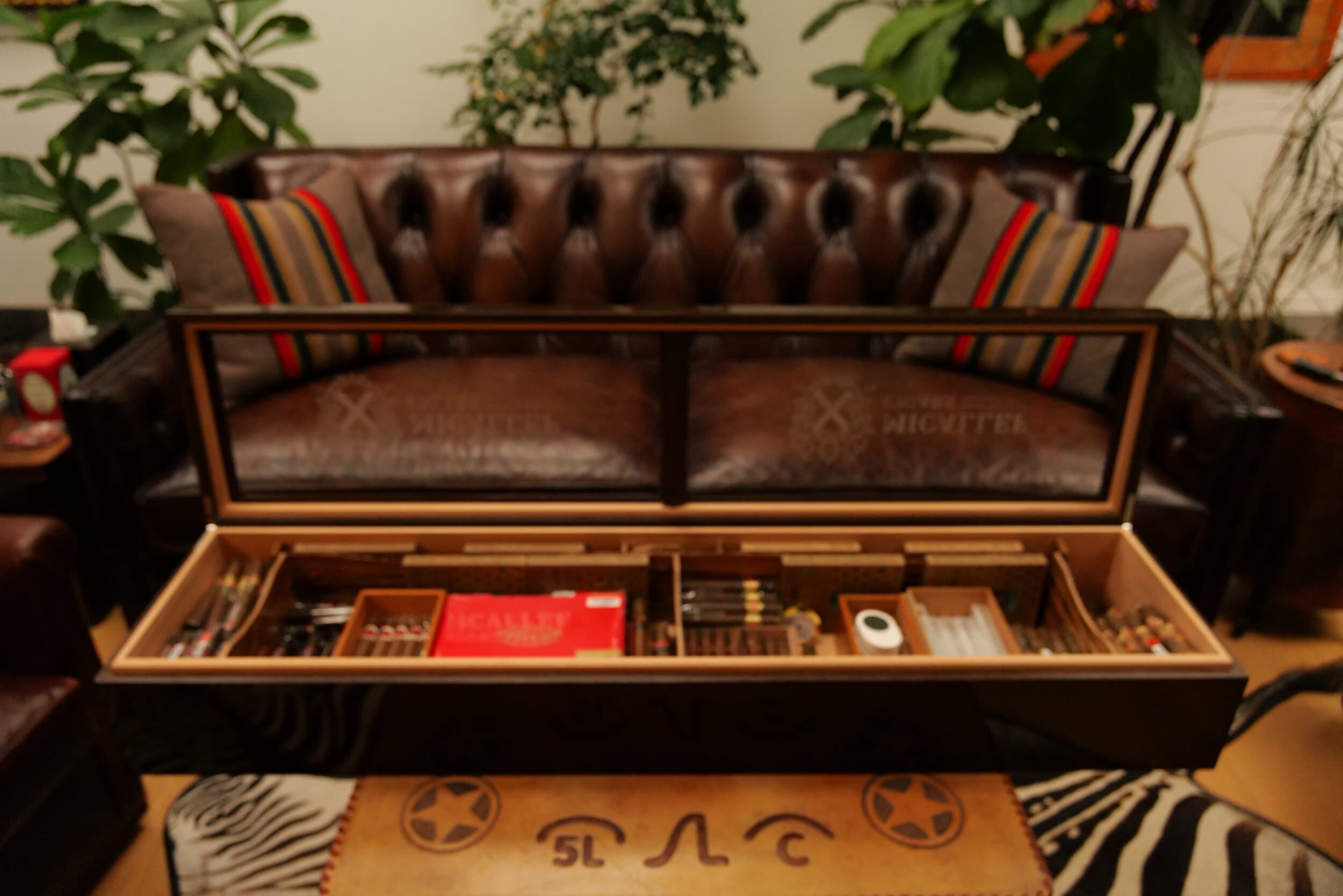 The Curator — Wenge Display Edition