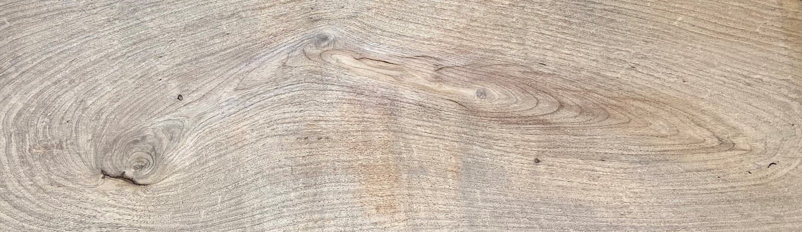 Texas mesquite