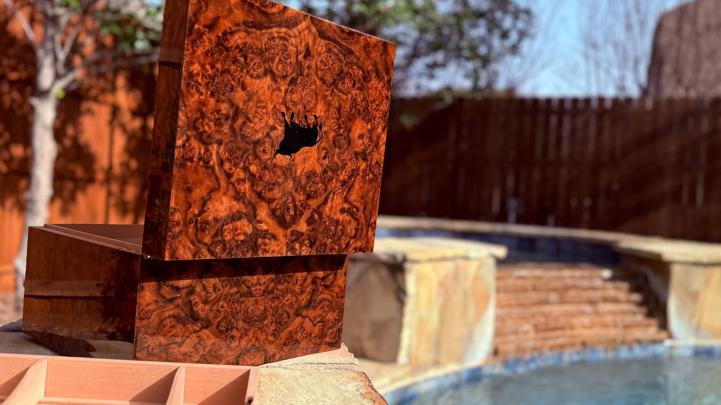 The Toro: centient luxury walnut burl humidor open lid bull silhouette rear view