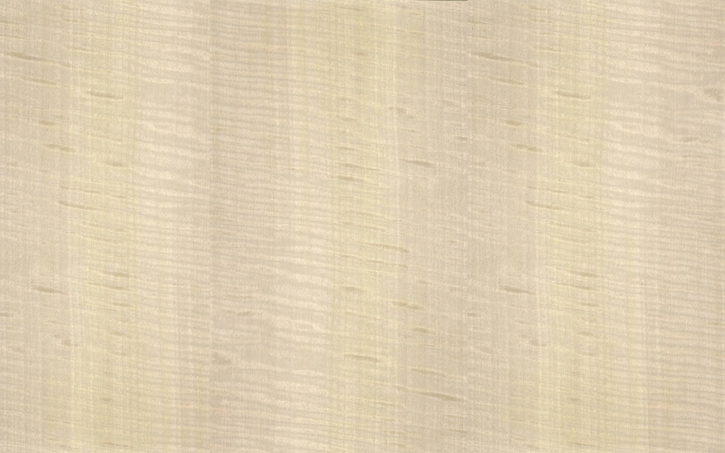 Figured sycamore