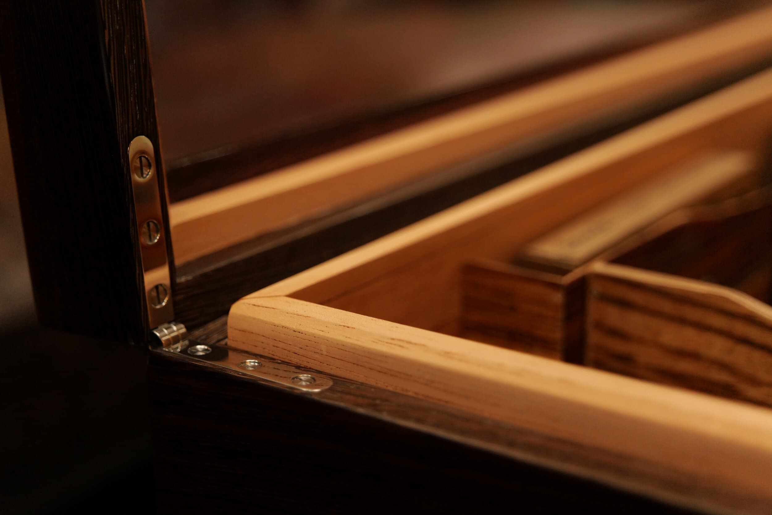 The Curator — Wenge Display Edition