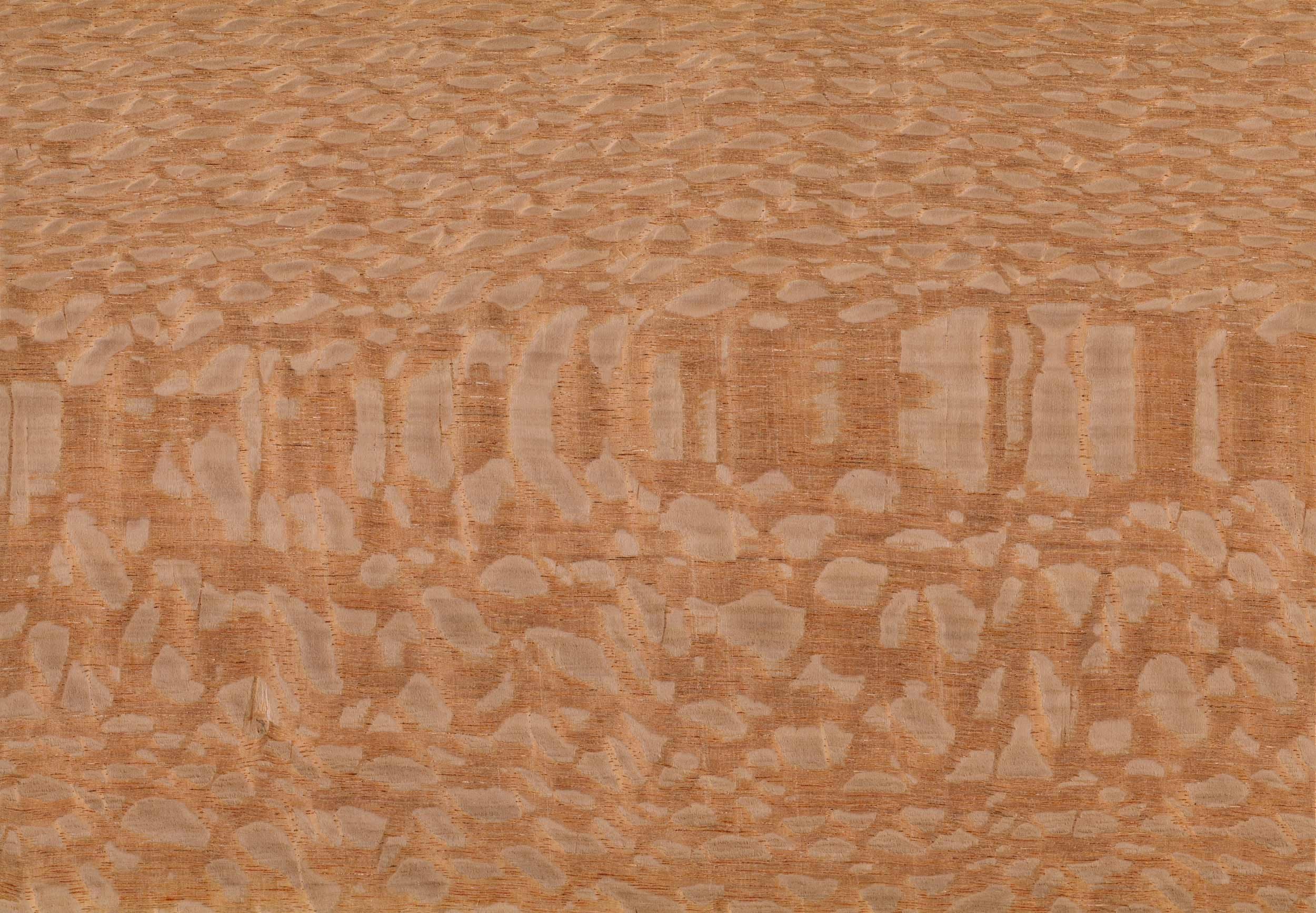 Lacewood silky grain